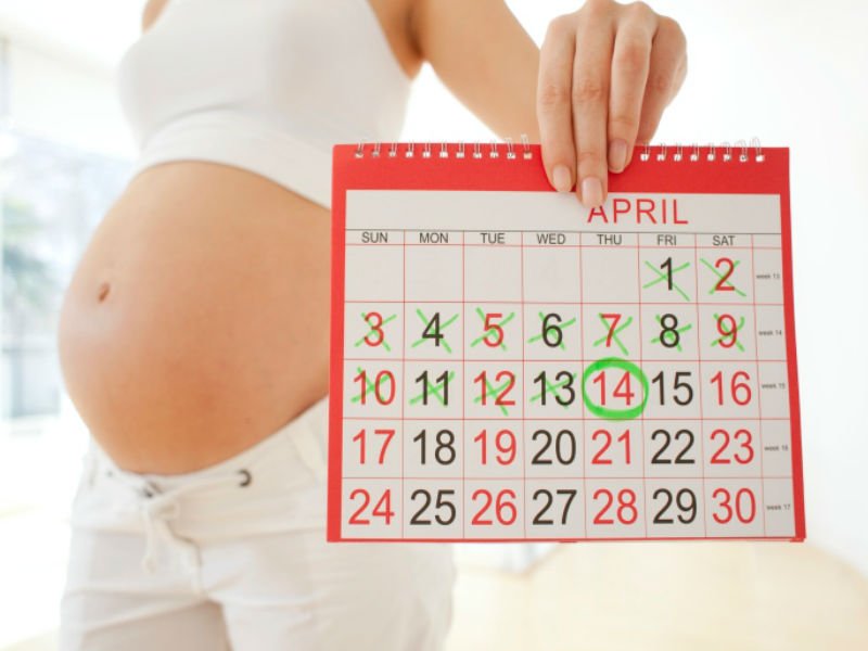Расчёт даты возможного зачатия девочки