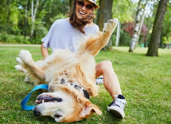 Признаки того, что ваша собака здорова и счастлива