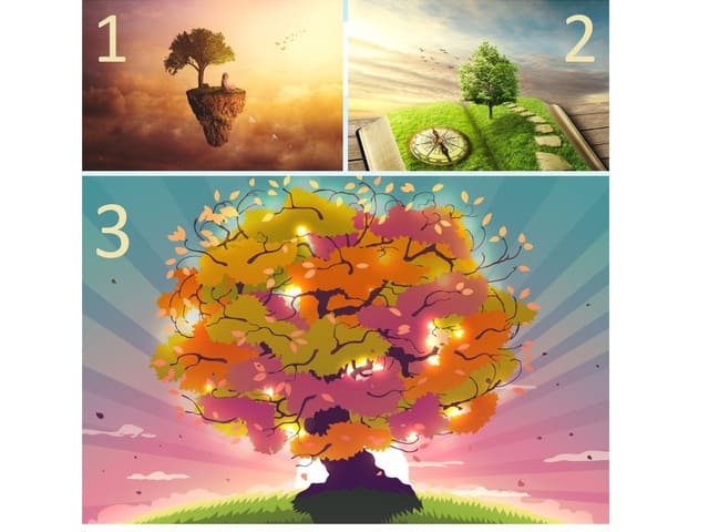 Тест: 3 волшебных дерева раскрывают, что вас ждет