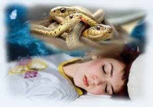снится змея