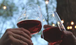 Польза красного вина для мужчин, женщин и организма в целом
