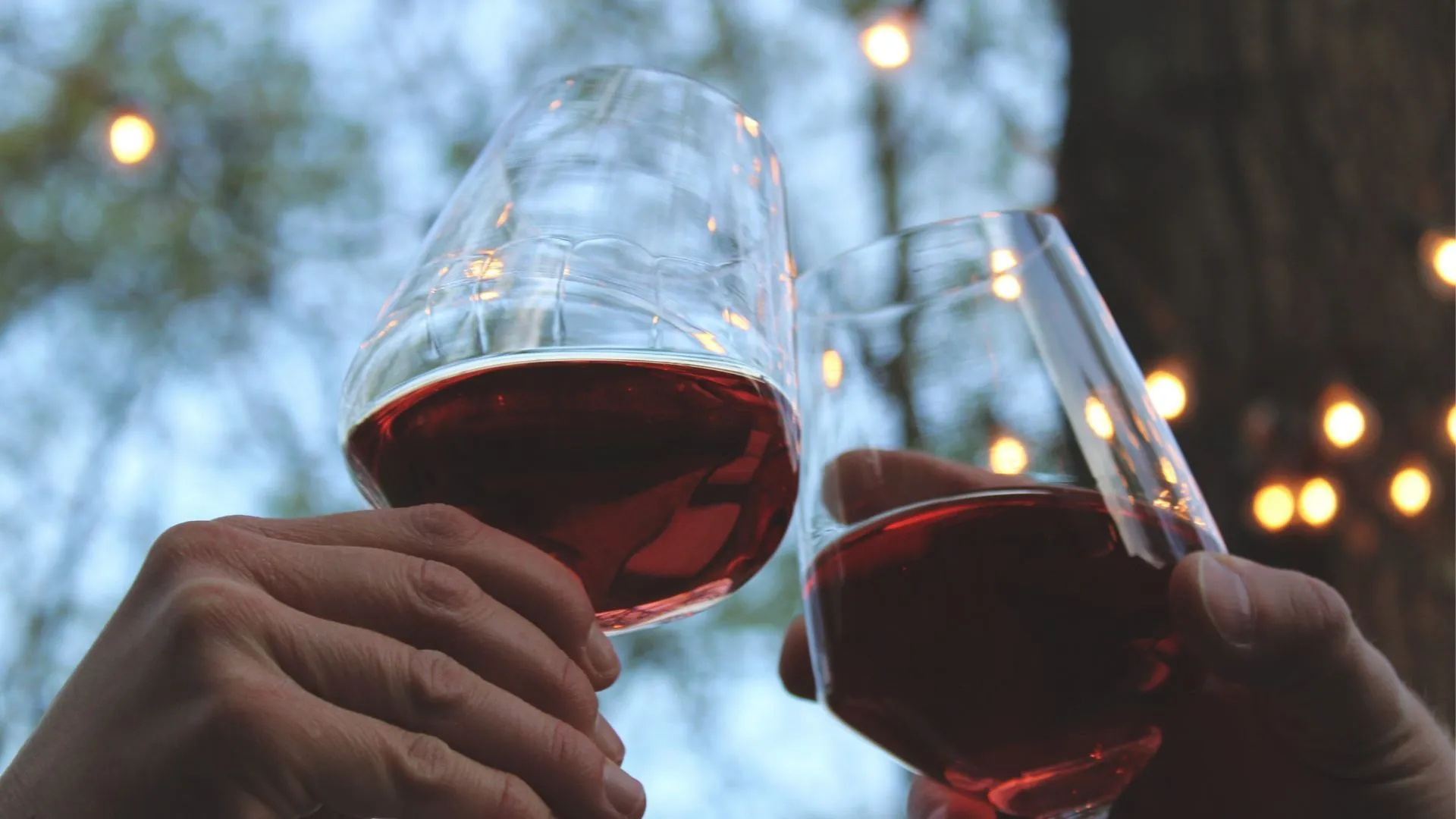 Польза красного вина для мужчин, женщин и организма в целом