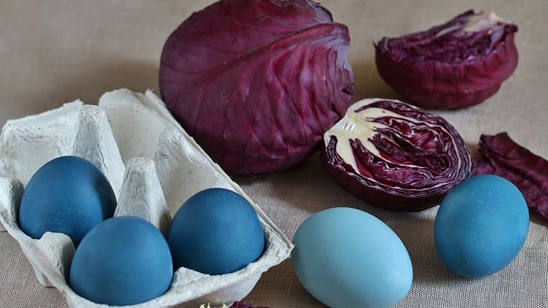 Как капустой сделать крашенки сине-фиолетового цвета