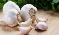 Свежее дыхание без следа чесночного запаха: 7 простых способов
